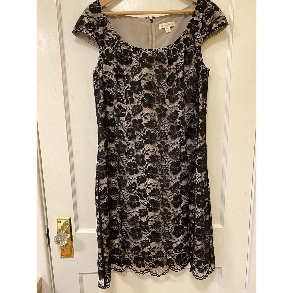 A-Line Dress‎ Black Floral Lace Whitchy Whimsygoth Dark Romantic